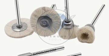 سرفرز مویی سفید (یال اسبی)