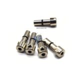 کولت انگلا بادی